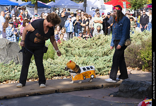 Tour de Corgi 2025 - Costume Contest