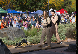 Tour de Corgi 2025 - Costume Contest