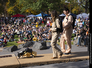 Tour de Corgi 2025 - Costume Contest