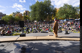 Tour de Corgi 2025 - Costume Contest