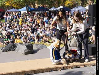Tour de Corgi 2025 - Costume Contest