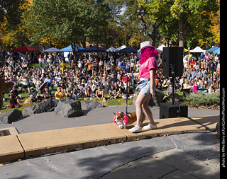 Tour de Corgi 2025 - Costume Contest