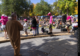 Tour de Corgi 2025 - Costume Contest