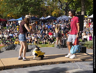 Tour de Corgi 2025 - Costume Contest