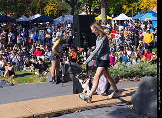 Tour de Corgi 2025 - Costume Contest