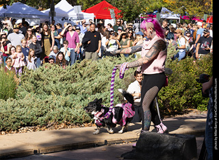 Tour de Corgi 2025 - Costume Contest