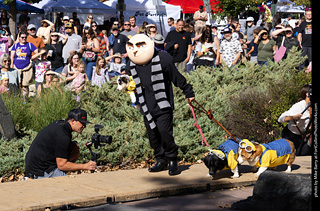 Tour de Corgi 2025 - Costume Contest