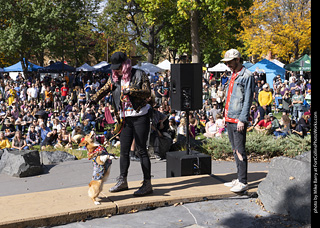 Tour de Corgi 2025 - Costume Contest