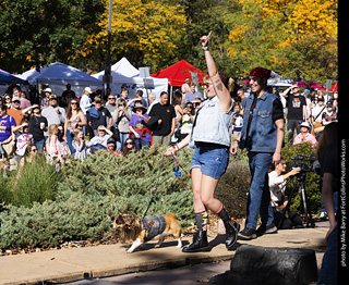 Tour de Corgi 2025 - Costume Contest