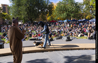 Tour de Corgi 2025 - Costume Contest