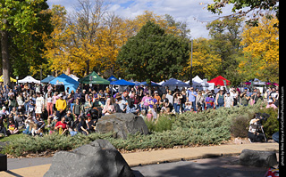Tour de Corgi 2025 - Costume Contest