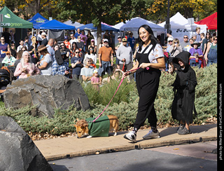 Tour de Corgi 2025 - Costume Contest