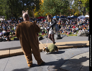 Tour de Corgi 2025 - Costume Contest