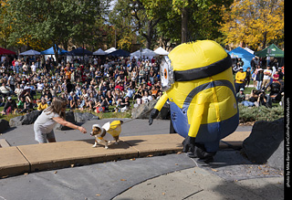 Tour de Corgi 2025 - Costume Contest