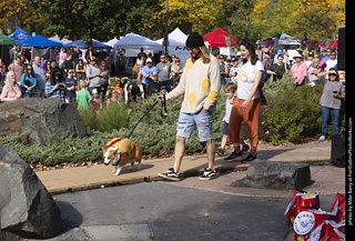 Tour de Corgi 2025 - Costume Contest