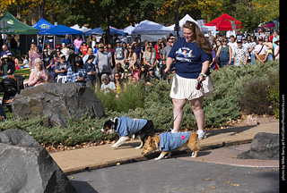 Tour de Corgi 2025 - Costume Contest