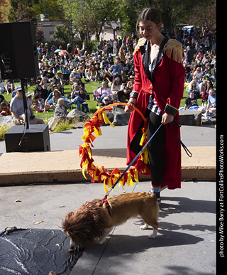 Tour de Corgi 2025 - Costume Contest