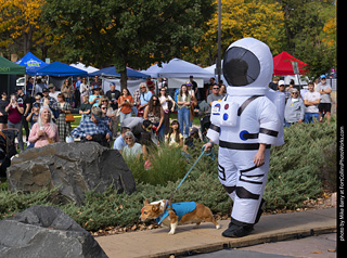 Tour de Corgi 2025 - Costume Contest