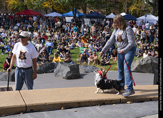 Tour de Corgi 2025 - Costume Contest