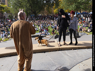 Tour de Corgi 2025 - Costume Contest