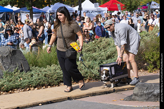 Tour de Corgi 2025 - Costume Contest