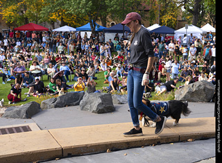 Tour de Corgi 2025 - Costume Contest