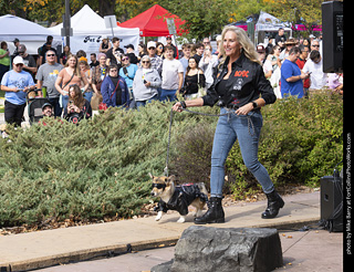 Tour de Corgi 2025 - Costume Contest