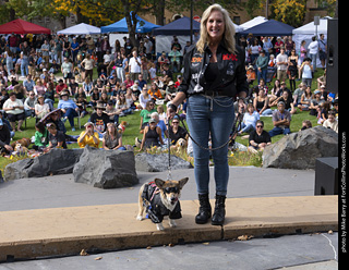 Tour de Corgi 2025 - Costume Contest