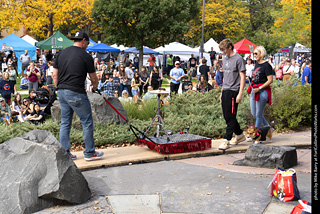 Tour de Corgi 2025 - Costume Contest