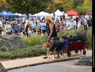Tour de Corgi 2025 - Costume Contest