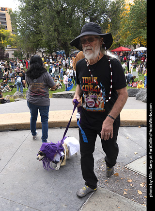 Tour de Corgi 2025 - Costume Contest