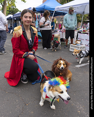 Tour de Corgi 2025 - attendees