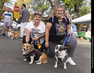 Tour de Corgi 2025 - attendees