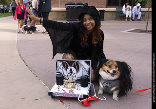 Tour de Corgi 2025 - attendees