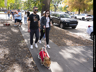 Tour de Corgi 2025 - attendees
