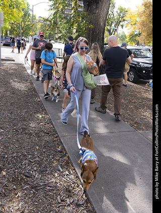 Tour de Corgi 2025 - attendees