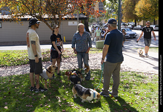 Tour de Corgi 2025 - attendees