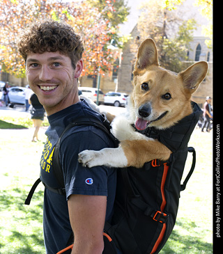 Tour de Corgi 2025 - attendees