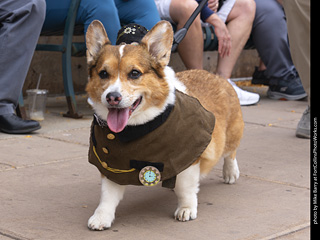  Tour de Corgi 2025 - The Tour