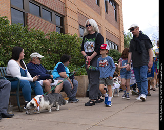  Tour de Corgi 2025 - The Tour