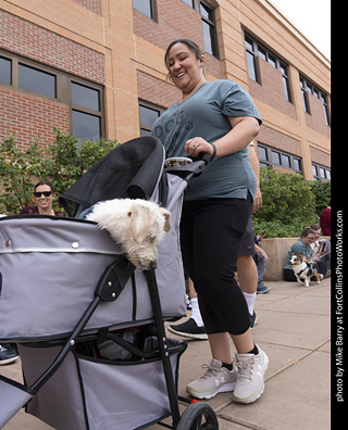  Tour de Corgi 2025 - The Tour