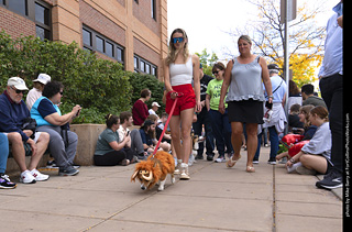  Tour de Corgi 2025 - The Tour