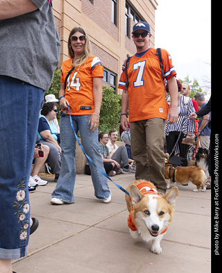  Tour de Corgi 2025 - The Tour