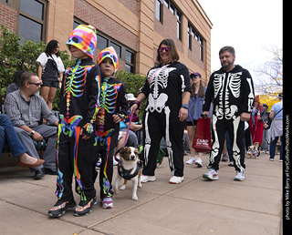  Tour de Corgi 2025 - The Tour