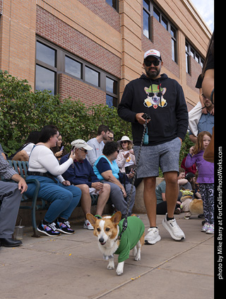  Tour de Corgi 2025 - The Tour