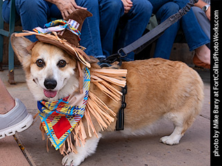 TDC 2025 The Tour #5