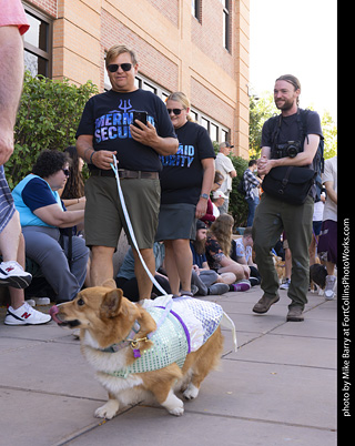  Tour de Corgi 2025 - The Tour