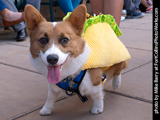 TDC 2025 The Tour #7