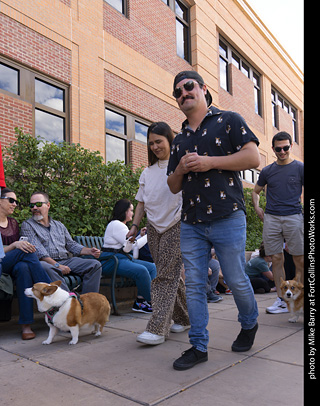  Tour de Corgi 2025 - The Tour