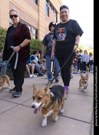  Tour de Corgi 2025 - The Tour